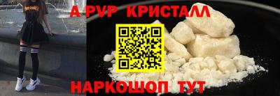 бошки Кингисепп