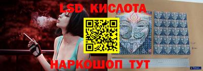 бошки Кингисепп