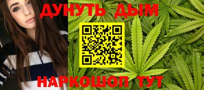 бошки Кингисепп