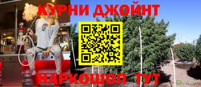 бошки Кингисепп