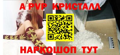 бошки Кингисепп