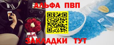 бошки Кингисепп